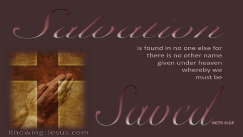 Acts 4:12 Salvation In No Other Name (brown)